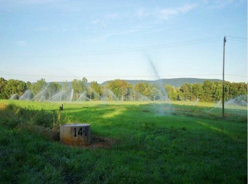 خاک، برخی آلاینده‌ها را قبل از رسیدن به آب‌های زیر زمینی تصفیه می‌کند