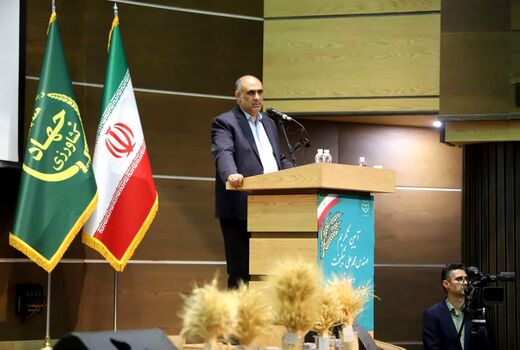 نوسان تولید و بازار محصولات کشاورزی به کمترین حد ممکن رسیده‌ است