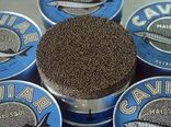 آغاز دوباره صادرات خاویار پرورشی ایران به اتحادیه اروپا