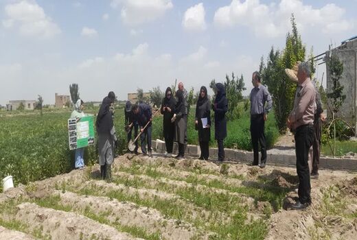 احداث باغ الگویی گیاهان دارویی در تبریز با هدف توسعه کشت گیاهان کم‌آب‌بر