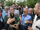 گزارش تصویری بازدید وزیر جهاد کشاورزی از اراضی سیل زده در شهرستان فیروزکوه و دماوند