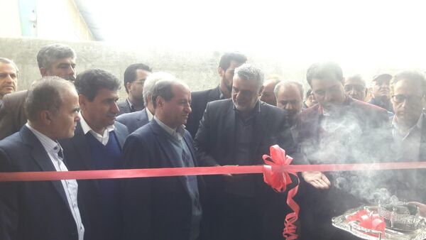 کارخانه تصفیه و بسته بندی کشمش در ملایر افتتاح شد