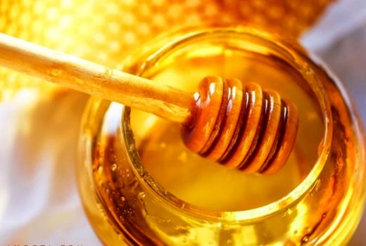 تولید سالانه ۶۴۰ تن عسل در شهرستان ایلام