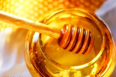 تولید سالانه ۶۴۰ تن عسل در شهرستان ایلام