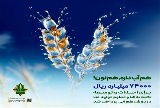 حمایت 74 هزار میلیارد ریالی بانک کشاورزی از مدیریت بحران آب با توسعه گلخانه‌ها