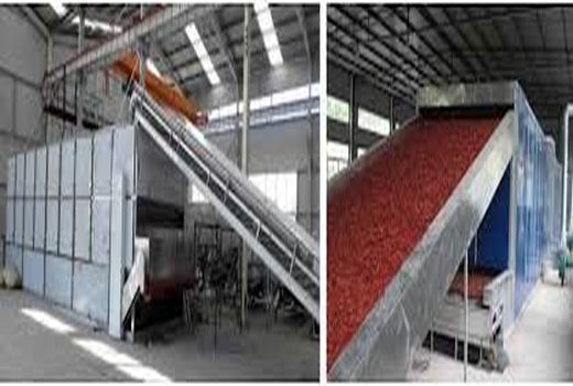 صدور 16 فقره موافقت اصولی طرح صنایع تبدیلی در خوزستان