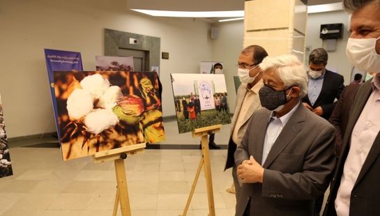 برگزاری نمایشگاه عکس و رونمایی از تمبر یادبود روز جهانی پنبه