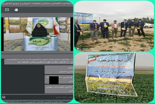 برگزاری رویداد ترویجی تغذیه کلزا و افزایش مواد آلی خاک در مهران