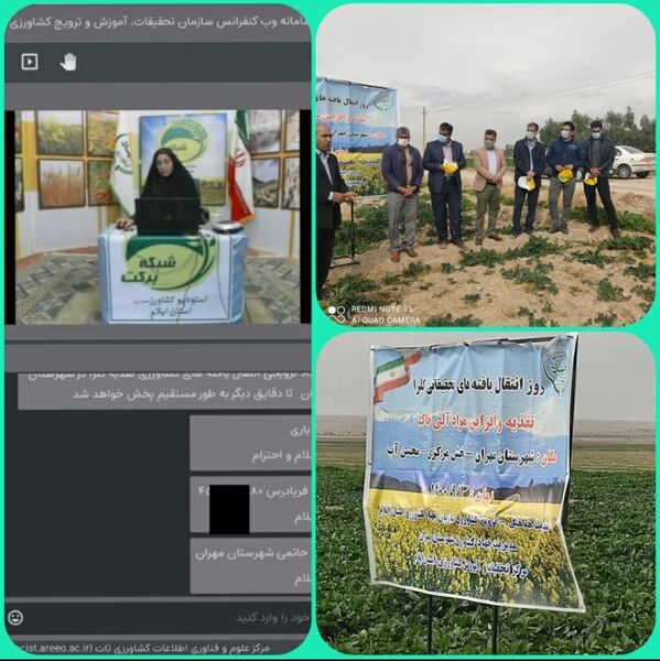 برگزاری رویداد ترویجی تغذیه کلزا و افزایش مواد آلی خاک در مهران