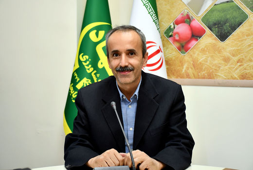 اجرای طرح جهش تولید در ۲میلیون و ۶۰۰ هزار هکتار از دیمزارهای کشور