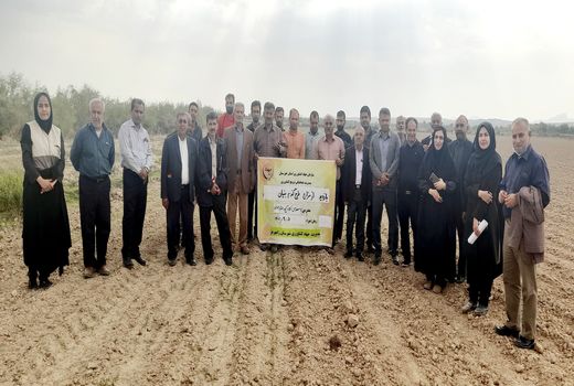 آشنایی با روش های کشت و تغذیه در طرح ملی گنم بنیان در رامهرمز