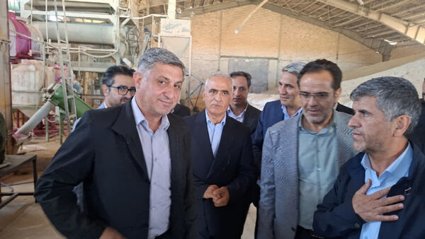 خرید ۳۷۵ هزار و ۷۶۶ تن گندم در آذربایجان‌شرقی