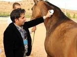 ضرورت نظارت بر تردد اسب در بین استان‌ها