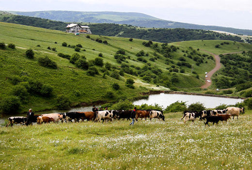 رفع تصرف از 58 هزار مترمربع اراضی ملی فیروزکوه