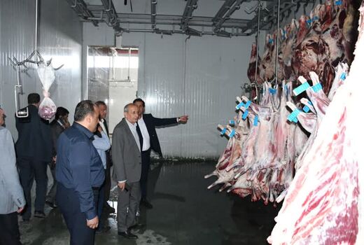 تمهیدات سازمان جهاد کشاورزی استان برای تامین دام در ایام عید قربان
