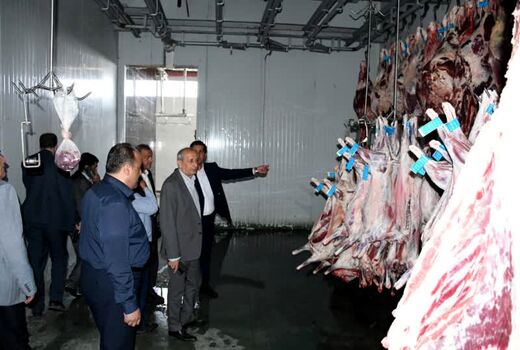 تمهیدات سازمان جهاد کشاورزی استان برای تامین دام در ایام عید قربان