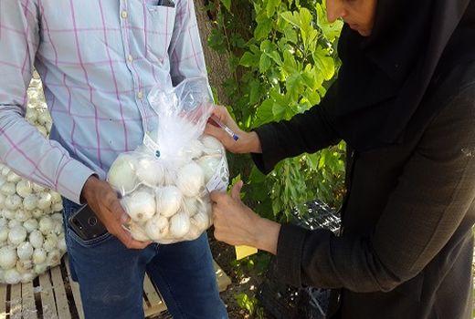 دریافت  59 پروانه استاندارد تشویقی توسط کشاورزان فارس