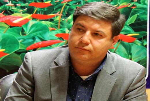  20 فرصت شغلی در هر هکتار از کشت گلخانه‌ای