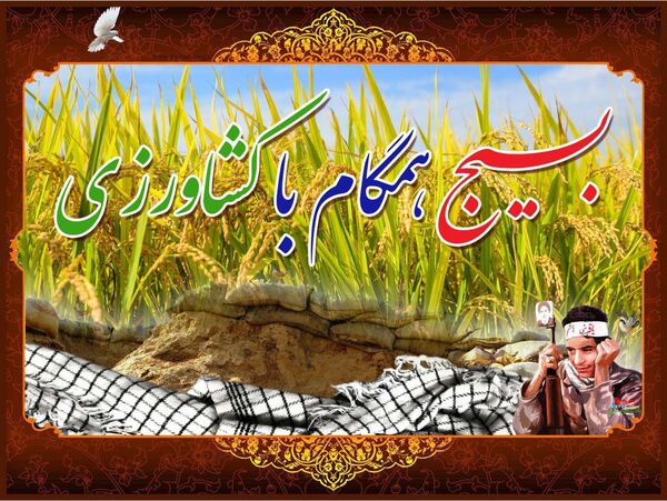 به‌کارگیری 30 فارغ‌التحصیل کشاورزی در میاندورود