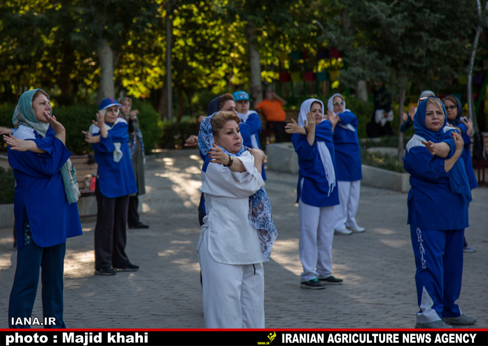 نرمش صبحگاهی