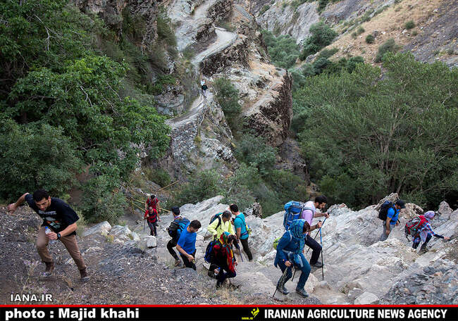 کوه پیمایی