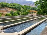 چهارمحال‌ وبختیاری نخستین استان دارای زنجیره کامل ارزش ماهیان سردابی