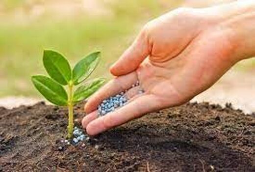 اجرای نظام کنترل کیفی کودهای شیمیایی در استان قم