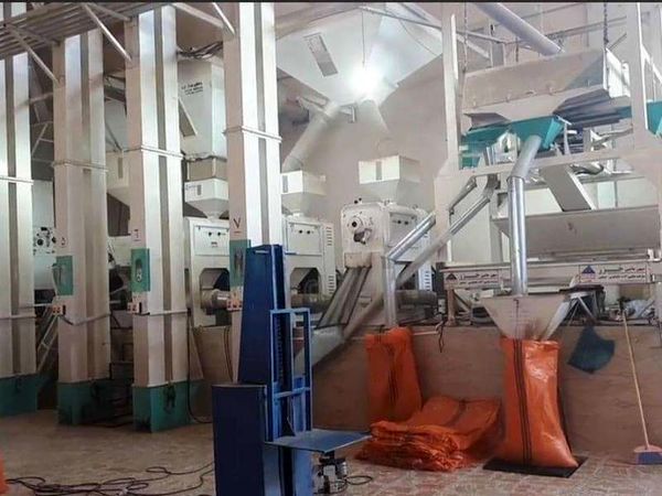 کارخانجات شالیکوبی بهسازی میشوند