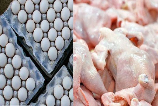 ذخائر استراتژیک محصولات اساسی در استان البرز مطلوب است