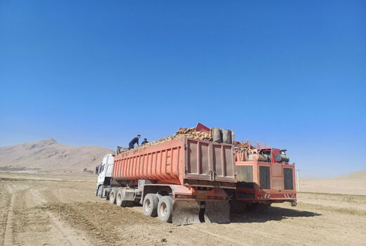 شهرستان کیار با بهره‌گیری از فناوری‌های نوین، رتبه نخست تولید چغندر قند در چهارمحال و بختیاری را کسب کرد