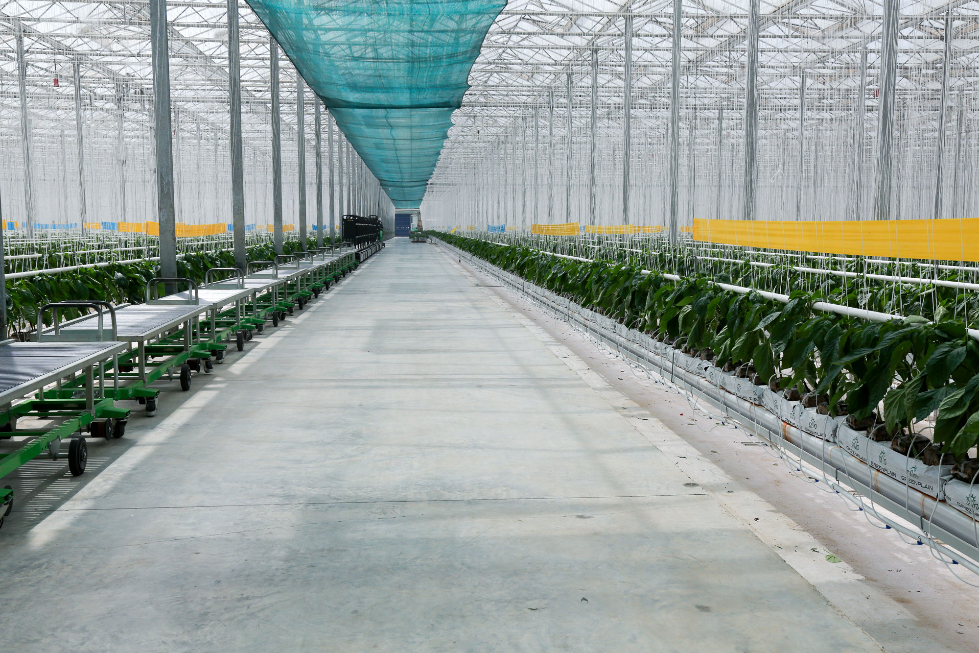  سفر وزیر جهاد کشاورزی به استان گلستان 1 