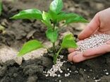 تأمین و توزیع بیش از ۲۳ هزار تن کود یارانه‌ای در استان تهران طی ۷ ماه