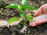 تأمین و توزیع بیش از ۲۳ هزار تن کود یارانه‌ای در استان تهران طی ۷ ماه