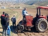 ایجاد مزرع نمایشی تریتیکاله در بخش چهاردانگه شهرستان هوراند