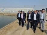 رشد ۲۳ درصدی تولید آبزیان در کشور
