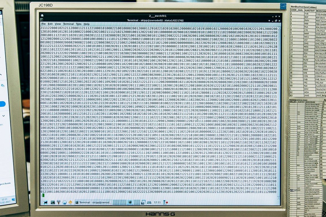 دامداری دلخراش آلمان