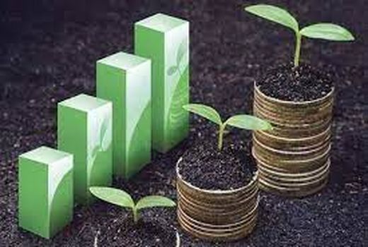 تشکیل 10 صندوق خرد زنان روستایی در شهرستان هشترود