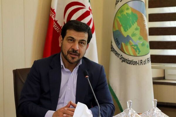 85 درصد منابع طبیعی کشور به پوشش رادیویی مجهز می‌شود