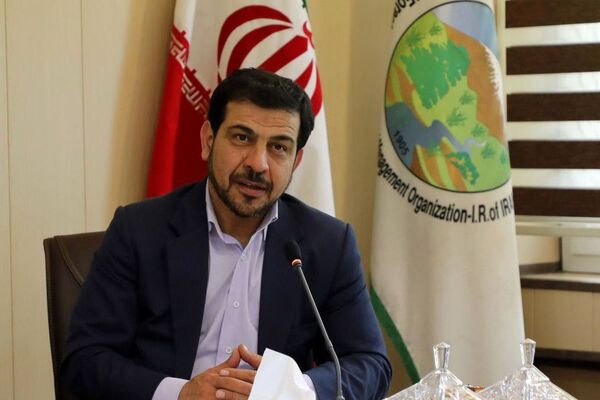 85 درصد منابع طبیعی کشور به پوشش رادیویی مجهز می‌شود