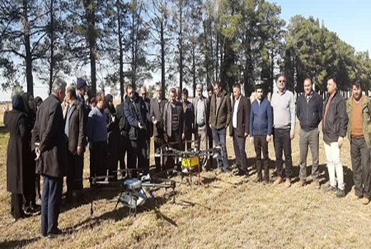 مزرعه گندم با پهباد سمپاشی شد