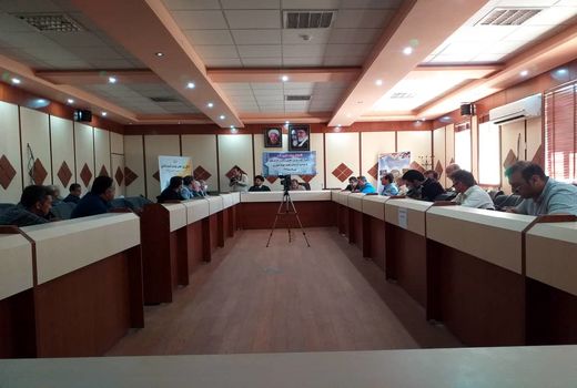 خرید کلزا به ۱۷ هزارتن رسید