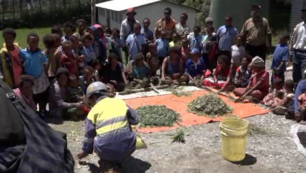 اجرای برنامه آموزش کشاورزی برای کودکان دبستانی/ ترویج امنیت غذایی در جامعه با اجرای برنامه آموزش کشاورزی