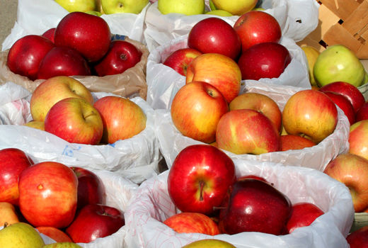 رشد 84 درصدی صادرات محصولات باغی