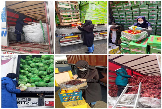 صادرات بیش از ۷۲هزار تن انواع محصولات کشاورزی از گمرکات جلفا در سال ۱۴۰۰ 