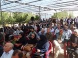 جشن برداشت سیب در بزرگ ترین باغ مدرن / ایجاد کلکسیون‌های جدید بادام یا ارقام میان رس دانه‌دار