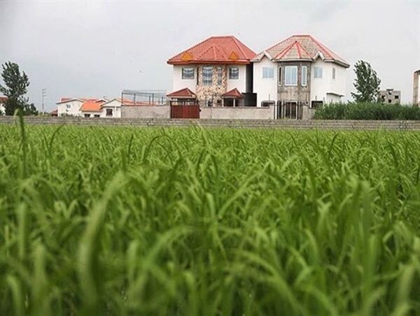 تغییر کاربری تهدید جدی توسعه بخش کشاورزی و امنیت غذایی
