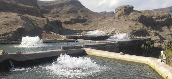  تولید آبزیان با آب کارگاه های ماسه شویی در استان آذربایجان شرقی