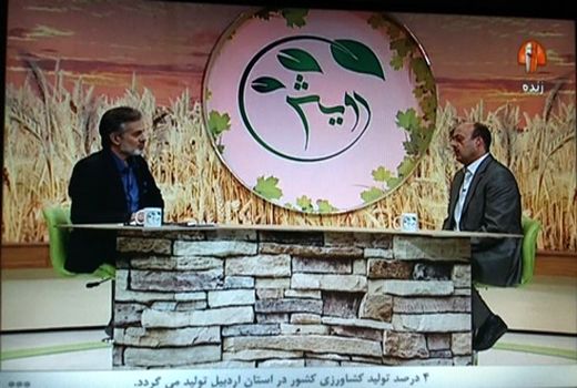 اجرای طرح یاوران تولید باعث افزایش دانش کشاورزان و بالا بردن عملکرد در واحد سطح شده است