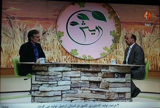 اجرای طرح یاوران تولید باعث افزایش دانش کشاورزان و بالا بردن عملکرد در واحد سطح شده است