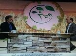 اجرای طرح یاوران تولید باعث افزایش دانش کشاورزان و بالا بردن عملکرد در واحد سطح شده است
